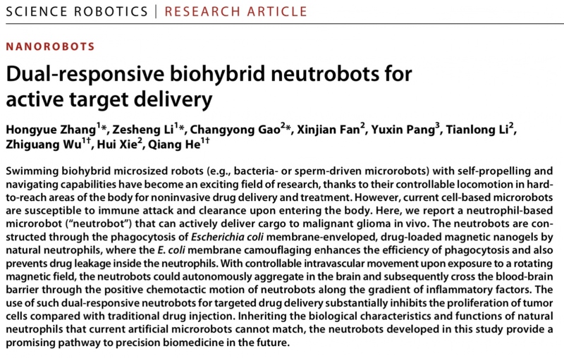 专访｜哈工大团队详解微纳机器人如何首次主动靶向脑胶质瘤