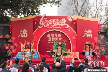 港澳台青年文化嘉年华在蓉举办
